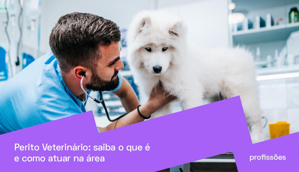 Imagem do blog