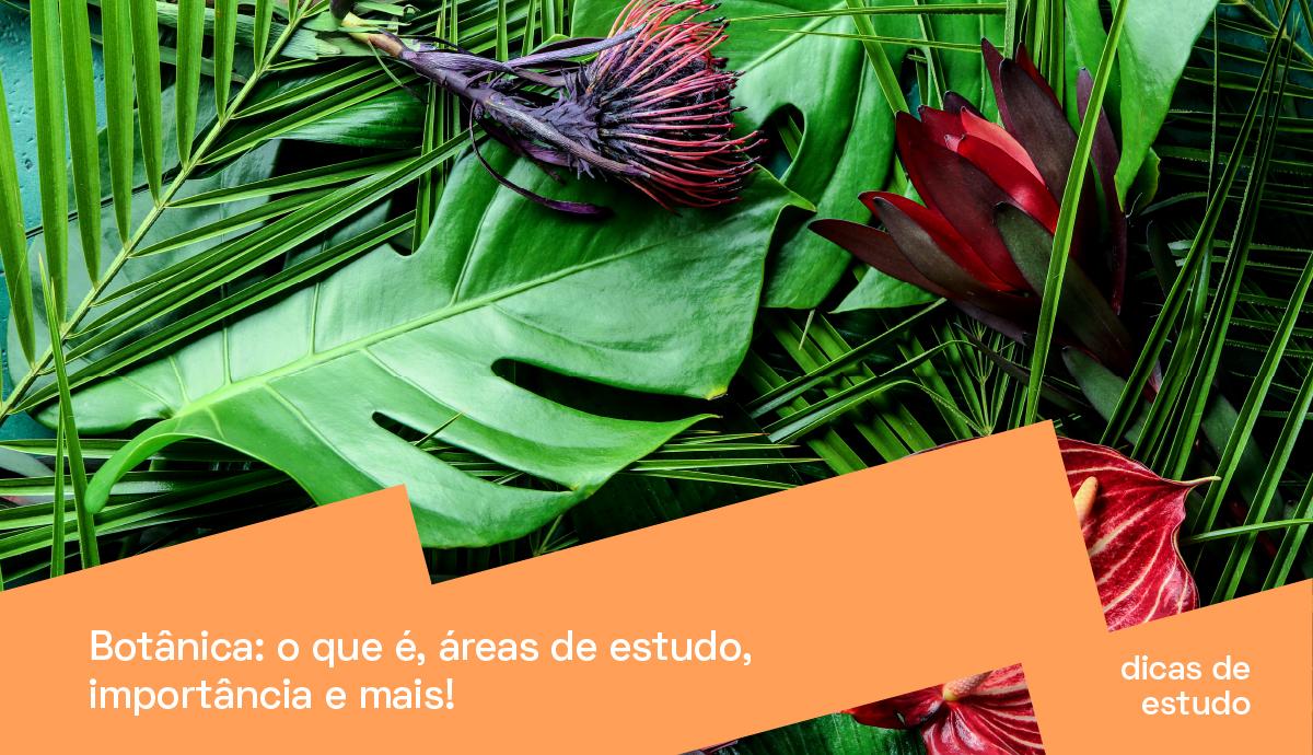 Imagem do blog