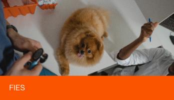 Imagem do blog