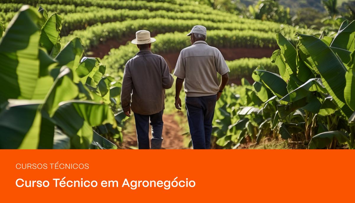 Imagem do blog