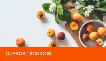 Imagem do blog