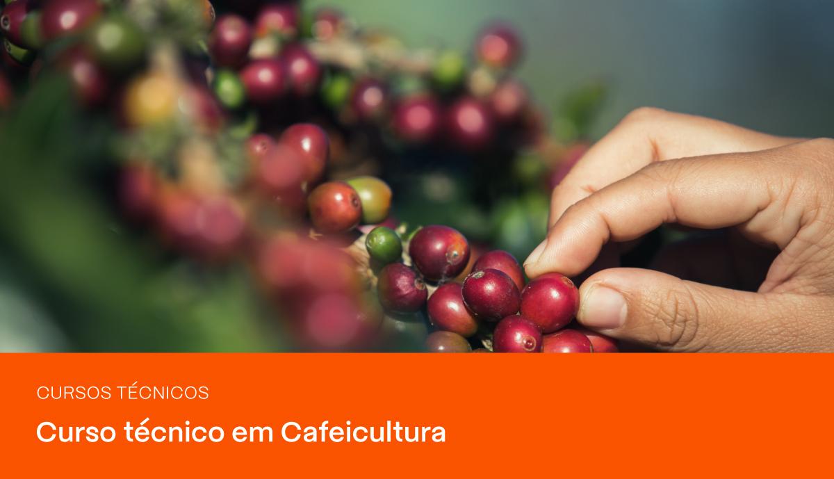 Imagem do blog