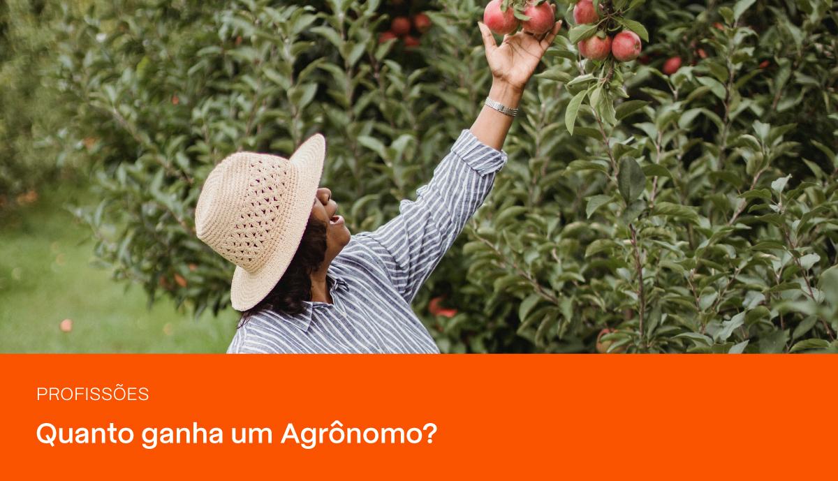 Imagem do blog