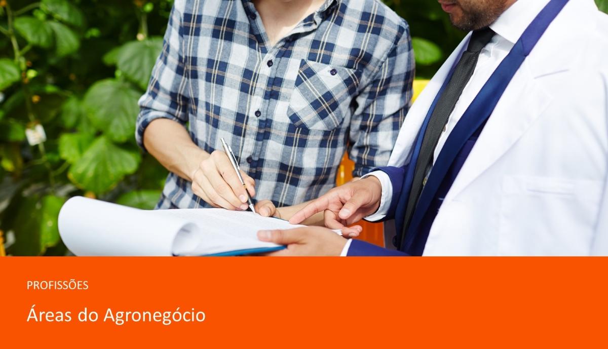 Imagem do blog