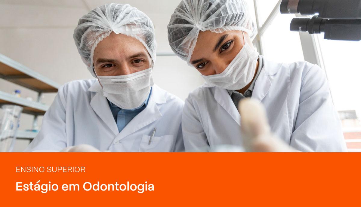 Imagem do blog