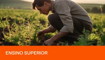 Lista com as melhores faculdades de Agronomia do Brasil