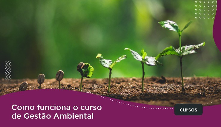 Como funciona o curso de Gestão Ambiental?