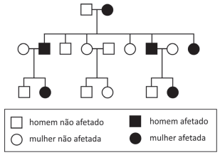 Simulado da Fuvest: treine questões do exame quantas vezes quiser!