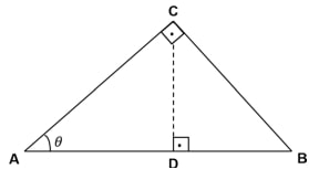 Matematica_question_19