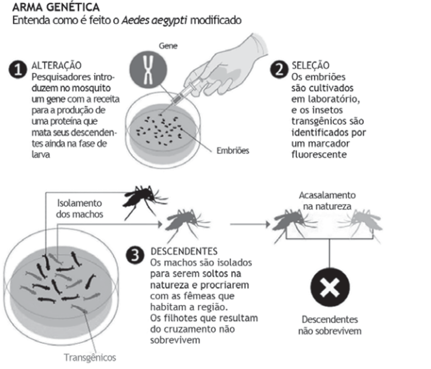 Simulado do Encceja: Ciências da Natureza e suas Tecnologias