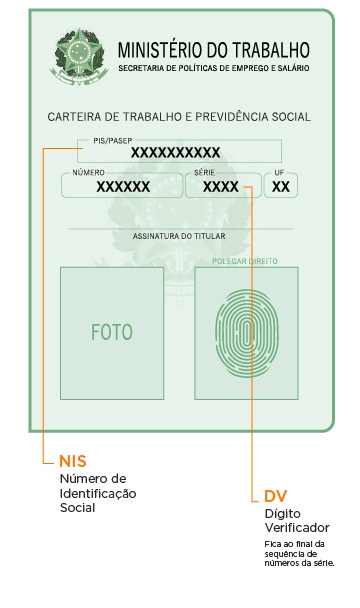 Saiba onde localizar as siglas NIS e DV na sua carteira de trabalho