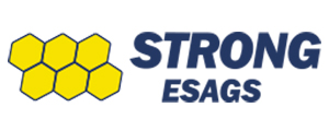 Faculdade Strong ESAGS Faculdade Strong ESAGS