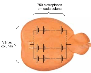 Vestibular Unesp Questao 82 1