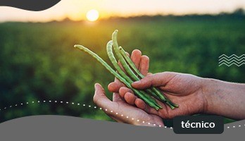 Curso Técnico em Agricultura – saiba tudo sobre a profissão Curso Técnico em Agricultura – saiba tudo sobre a profissão