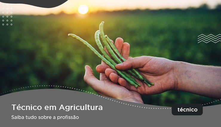 Curso Técnico em Agricultura – saiba tudo sobre a profissão Curso Técnico em Agricultura – saiba tudo sobre a profissão