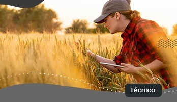 Curso Técnico em Agropecuária – saiba tudo sobre a profissão Curso Técnico em Agropecuária – saiba tudo sobre a profissão