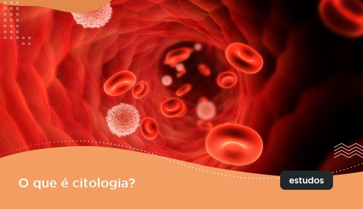 Citologia: função e resumo para o Enem Citologia: função e resumo para o Enem