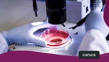 Biologia ou Biomedicina – qual a melhor opção? Biologia ou Biomedicina – qual a melhor opção?