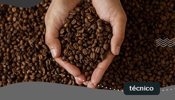 Curso técnico em Cafeicultura – saiba tudo sobre a profissão Curso técnico em Cafeicultura – saiba tudo sobre a profissão