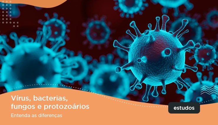 Vírus, bactérias, fungos e protozoários – entenda as diferenças Vírus, bactérias, fungos e protozoários – entenda as diferenças