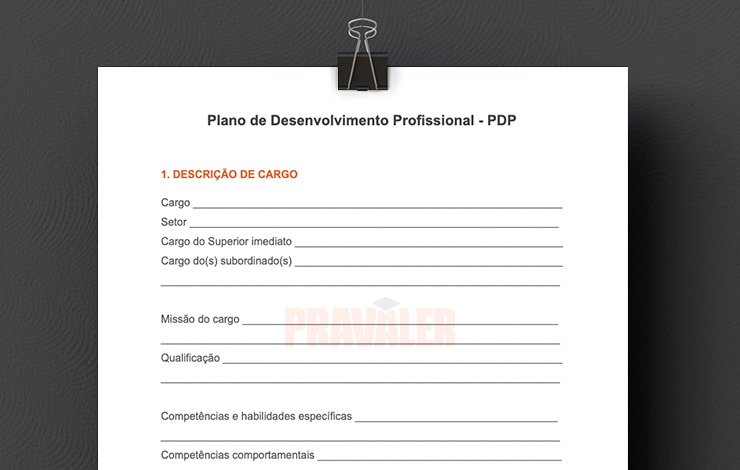 Modelo de PDI Profissional