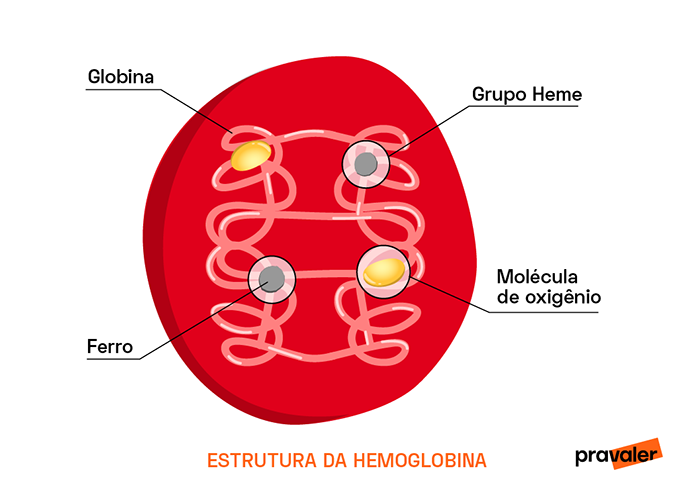 Estrutura da Hemoglobina