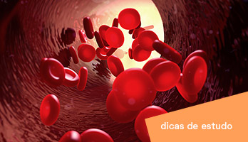 Hemoglobina: o que é, estrutura, função e tipos Hemoglobina: o que é, estrutura, função e tipos