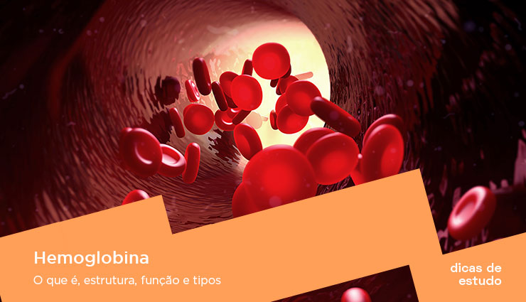 Hemoglobina: o que é, estrutura, função e tipos