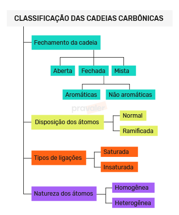 Infográfico da classificação das cadeias de carbono