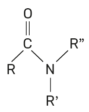fórmula molecular das amidas