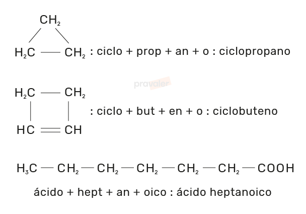 exemplo de nomenclatura dos compostos do grupo dos ácidos carboxílicos