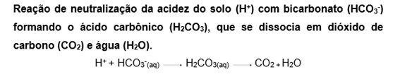 Reação de neutralização da acidez do solo com bicarbonato