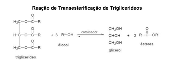 Fórmula da Reação da Transesterificação de Tliglicerídeos