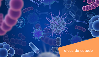 Plano de estudos de Biologia: estude para Enem e vestibulares Plano de estudos de Biologia: estude para Enem e vestibulares