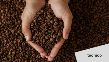 Curso técnico em Cafeicultura – saiba tudo sobre a profissão Curso técnico em Cafeicultura – saiba tudo sobre a profissão