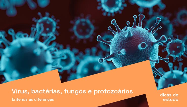 Vírus, bactérias, fungos e protozoários: entenda as diferenças
