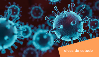Vírus, bactérias, fungos e protozoários: entenda as diferenças