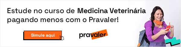 600x158 Veterinaria