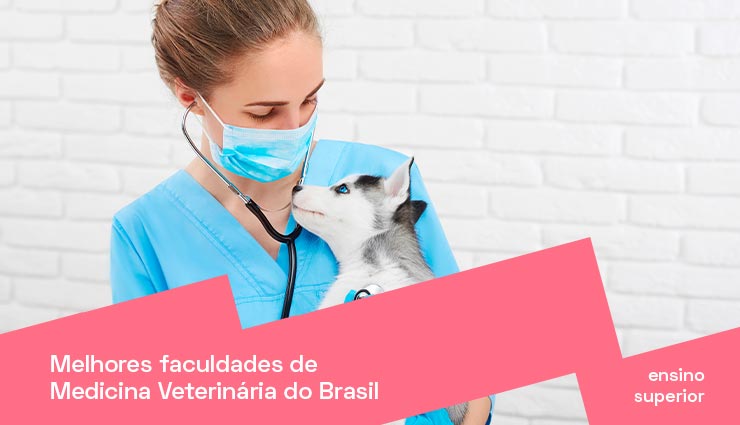 Descubra quais são as melhores faculdades de Medicina Veterinária do Brasil Descubra quais são as melhores faculdades de Medicina Veterinária do Brasil