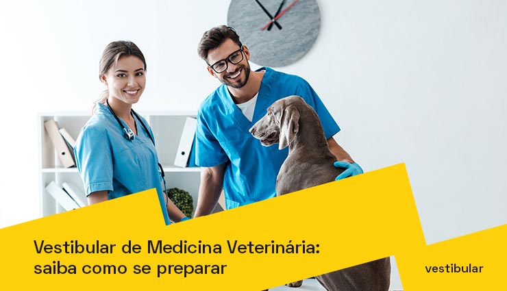 Vestibular de Medicina Veterinária: saiba como se preparar para a prova Vestibular de Medicina Veterinária: saiba como se preparar para a prova