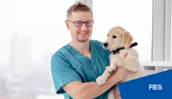 Fies Medicina Veterinária: veja como participar e qual a nota de corte Fies Medicina Veterinária: veja como participar e qual a nota de corte