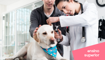 Como fazer o curso de Medicina Veterinária a distância? Como fazer o curso de Medicina Veterinária a distância?