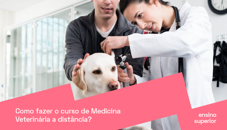 Como fazer o curso de Medicina Veterinária a distância? Como fazer o curso de Medicina Veterinária a distância?