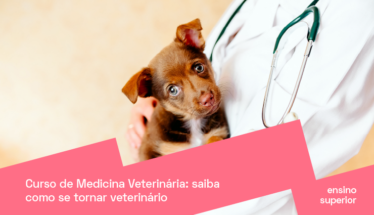 Curso de Medicina Veterinária: saiba como se tornar veterinário Curso de Medicina Veterinária: saiba como se tornar veterinário
