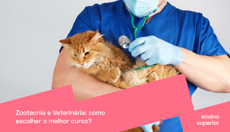 Zootecnia e Medicina Veterinária: como escolher o melhor curso? Zootecnia e Medicina Veterinária: como escolher o melhor curso?