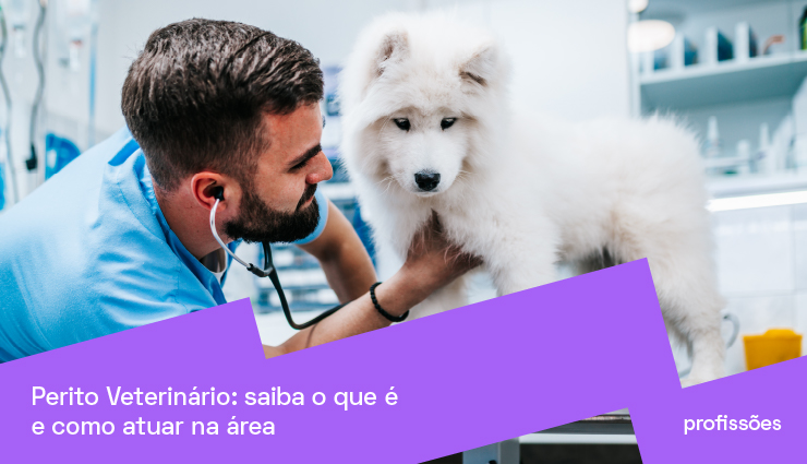 Perito veterinário: saiba o que é e como atuar na área