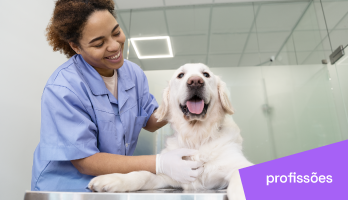 Mercado de trabalho em Medicina Veterinária: entenda o futuro da profissão Mercado de trabalho em Medicina Veterinária: entenda o futuro da profissão