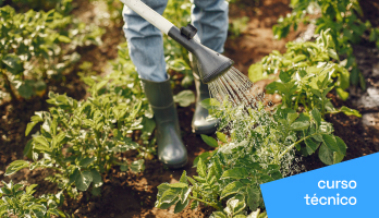 Curso Técnico em Agricultura: saiba tudo sobre a profissão Curso Técnico em Agricultura: saiba tudo sobre a profissão