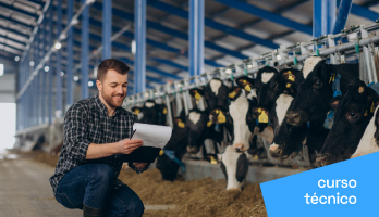 Curso Técnico em Agropecuária – saiba tudo sobre a profissão Curso Técnico em Agropecuária – saiba tudo sobre a profissão