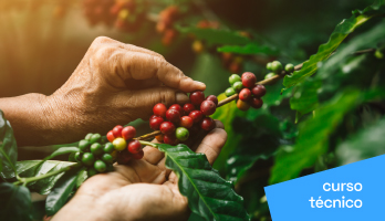 Cursos Técnicos – Eixo Tecnológico de Ambiente e Saúde Cursos Técnicos – Eixo Tecnológico de Ambiente e Saúde